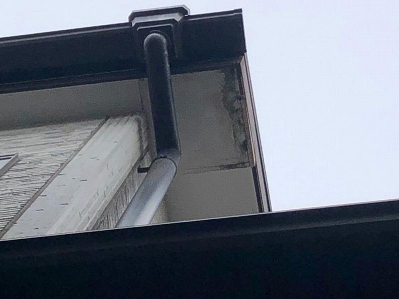 軒天や雨樋などの付帯部の調査