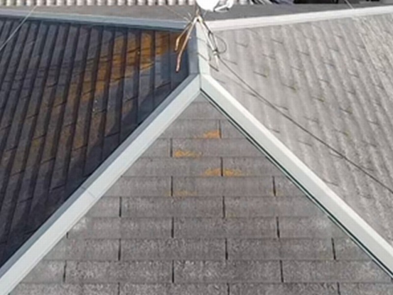 苔やカビが繁殖したスレート瓦