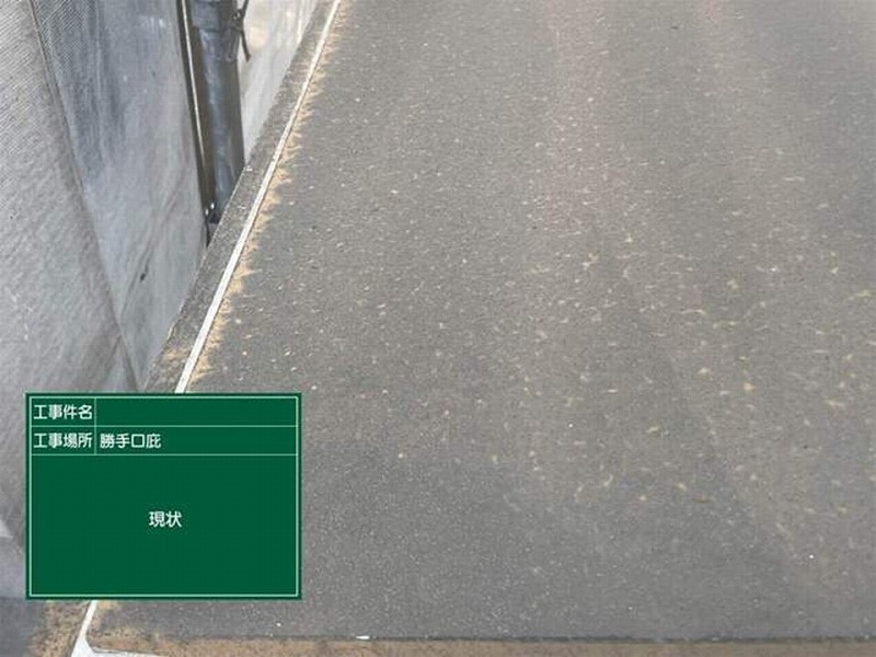 塗装前の勝手口庇