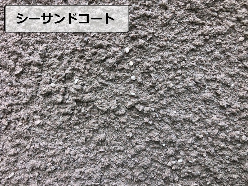 シーサンドコート