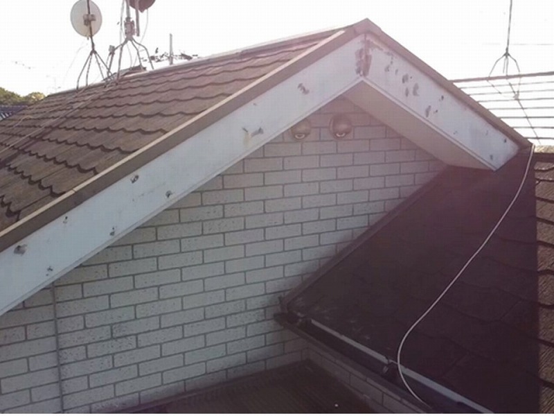 屋根と破風板の剝がれ