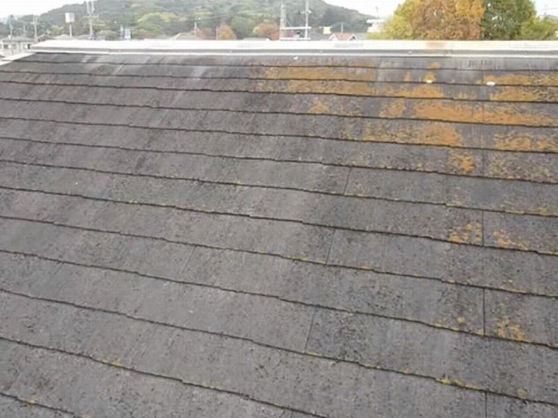 アイダ設計のメンテナンスが必要な屋根の苔・カビ・汚れの発生