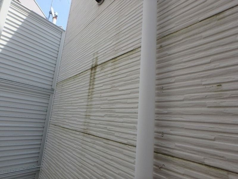 ヤマト住建の外壁に見られる主な劣化症状 苔・カビ・藻・雨垂れなどの汚れ