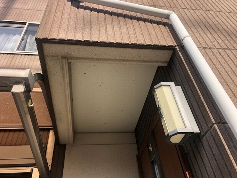 軒天の調査