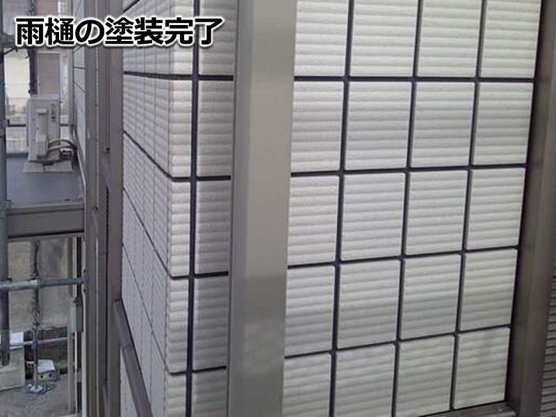 樋の塗装完了