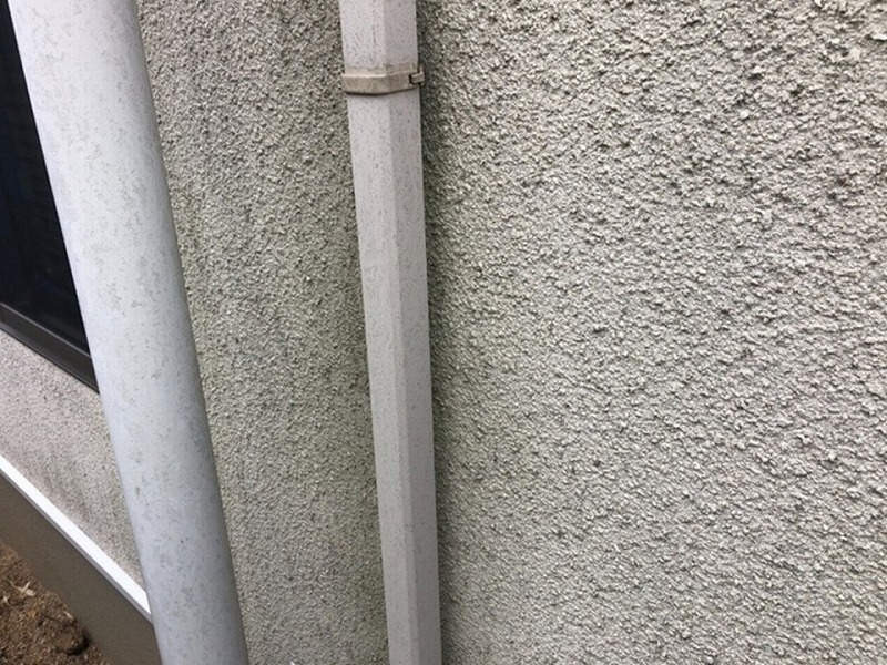 樋の点検