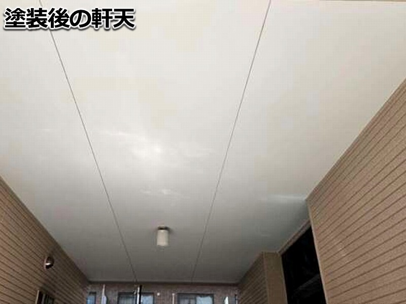 塗装後の軒天