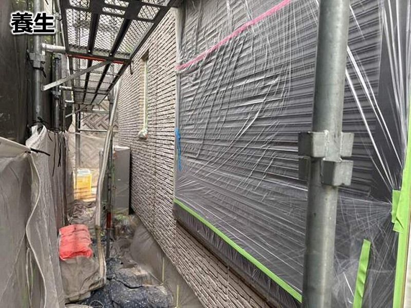 養生