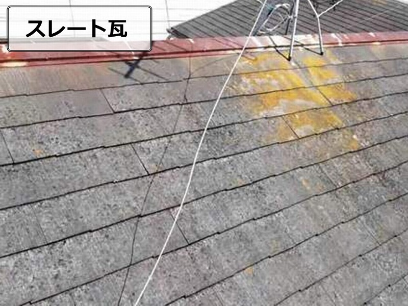 スレート瓦の調査