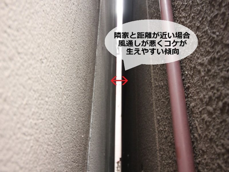 日当たりが悪く湿気がこもりやすいダイワハウス外壁はコケが生えやすい