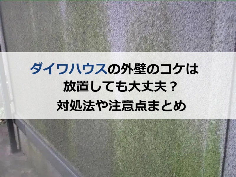 ダイワハウスの外壁のコケは放置しても大丈夫?対処法や注意点まとめ